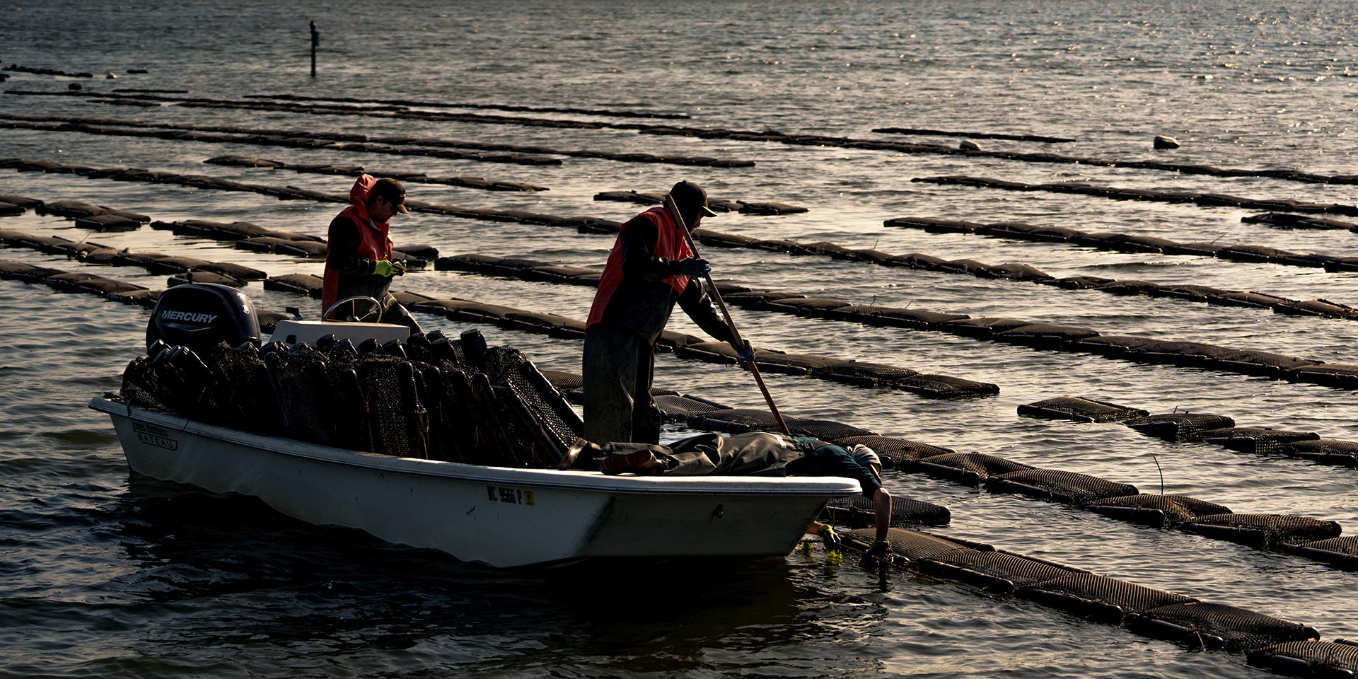 People on a small boat conducting research in the ocean
